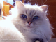 PC090077_redigerad