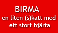 Birmor - en liten (s)katt men stort hjärta