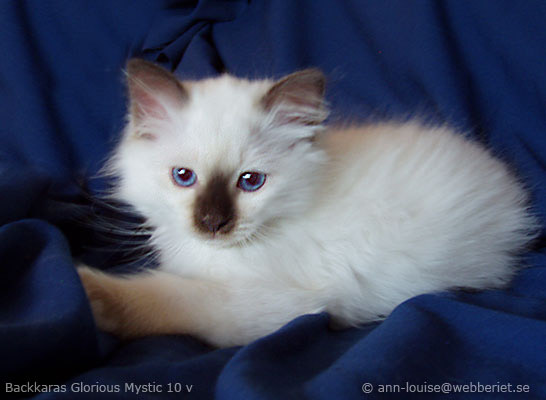 mystic20060516-09