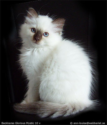 mystic20060519d