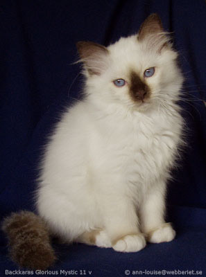 mystic20060523b003