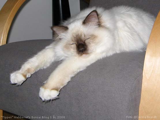 Avkopplande stretching. 