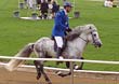Galopp