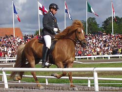 Högst bedömda sto VM 2005