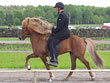 Eldur